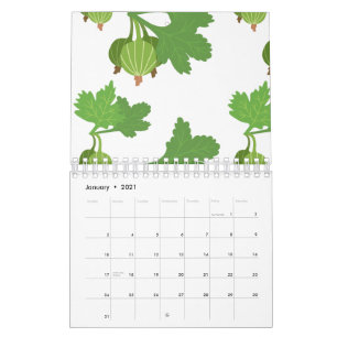 Calendário Planta de Physalis Fruta Exótica Physalis