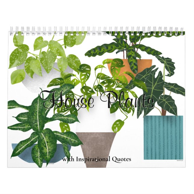 Calendário Plantas De Habitação (Capa)