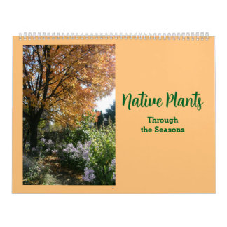 Calendário Plantas Nativas Através das Estações