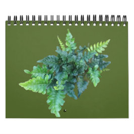 Calendário Plantas Nativas - Noroeste do Pacífico