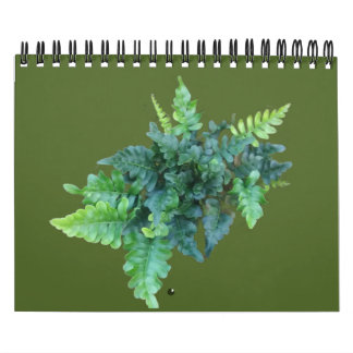 Calendário Plantas Nativas - Noroeste do Pacífico