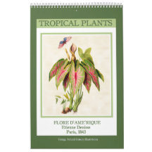 Plantas Tropicais Botânicas Vintage 2027