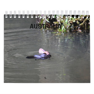 CALENDÁRIO PLATYPUS AUSTRÁLIA
