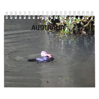 CALENDÁRIO PLATYPUS AUSTRÁLIA
