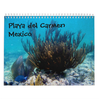 Calendário Playa del Carmen, México