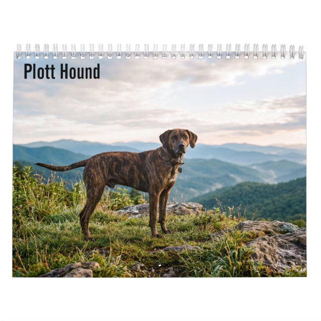 Calendário Plott Hound 2027 para parede (Capa)