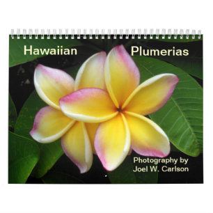 Calendário Plumerias havaianos