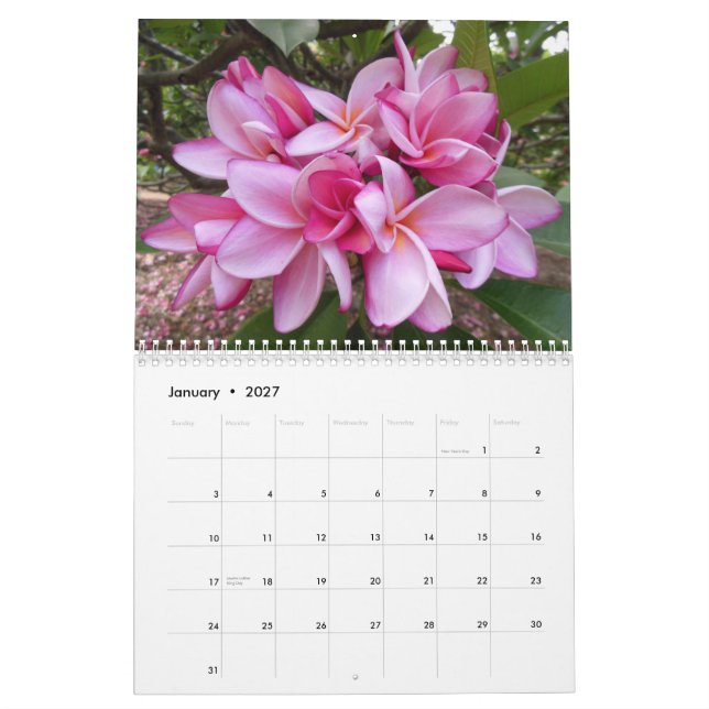 Calendário Plumerias havaianos (Jan 2027)
