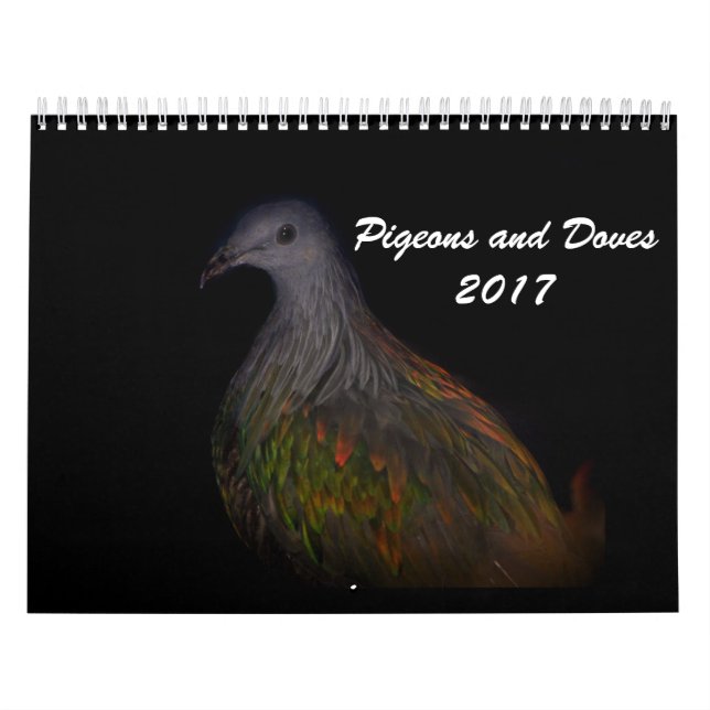 Calendário Pombos & pombas 2017 (Capa)