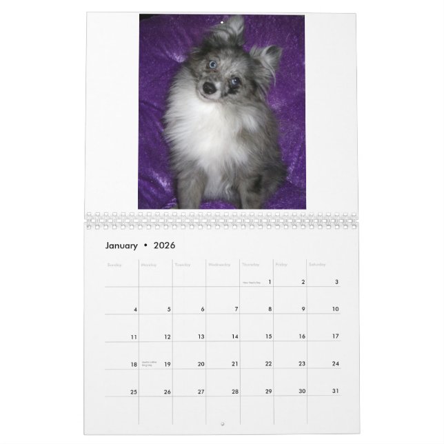 Calendário Pomeranians real (Jan 2026)