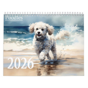 Calendário Poodles 2026