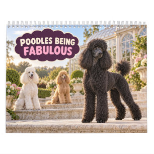 Calendário Poodles Engraçados Sendo Fabulosos