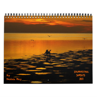 Calendário pôr do sol 2011 do steinhatchee