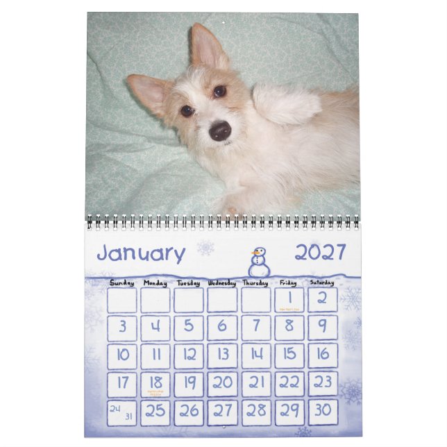 Calendário português do Podengo Pequeno (Jan 2027)