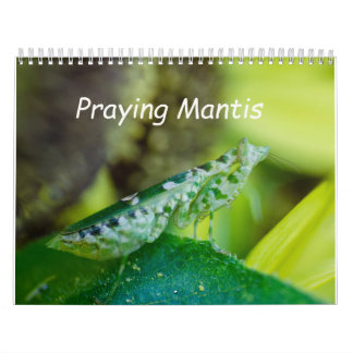 Calendário Praying Mantis Insects Calendar