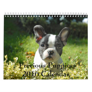 Calendário precioso dos filhotes de cachorro 2016