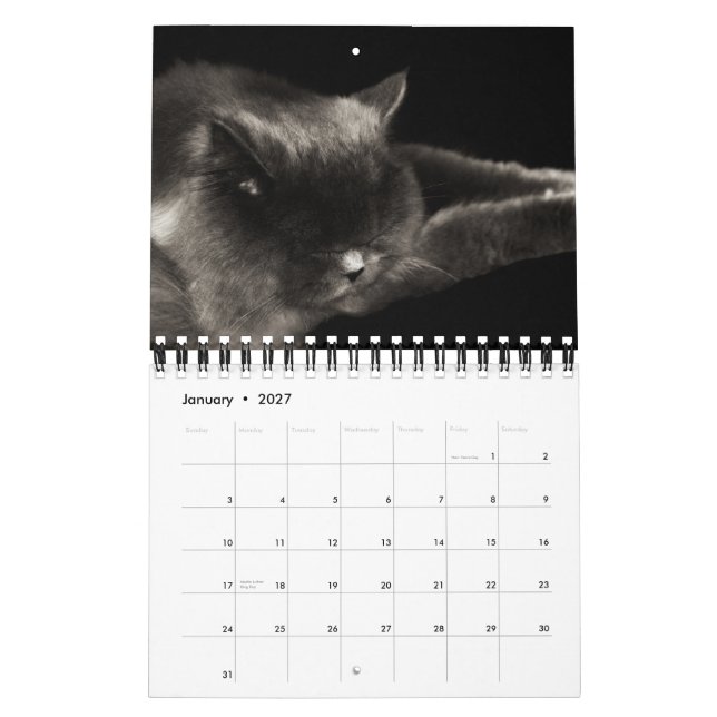 Calendário precioso dos gatos 2012 (Jan 2027)