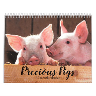 Calendário Precious Pigs 2027