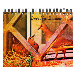 Calendário Prédio de Dove Nest