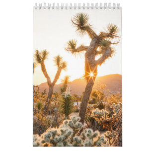Calendário Presente de Foto no Deserto com Cactus