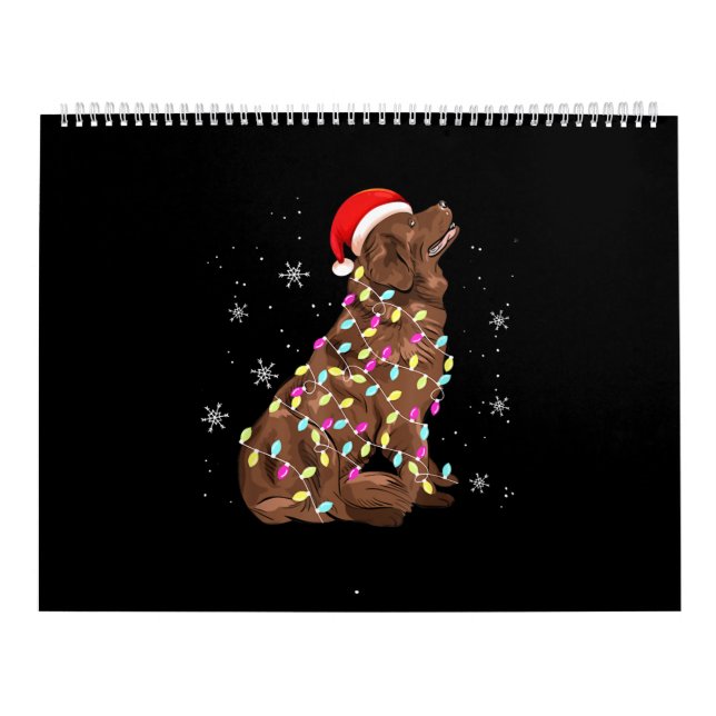 Calendário Presente de luz de natal na Terra Nova |amante eng (Capa)