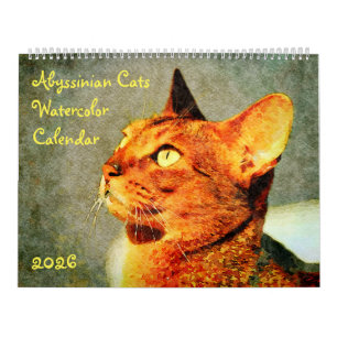 Calendário Presente para Amantes de Gatos Abissínios Maravilh