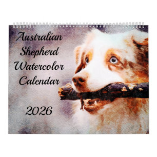 Calendário Presente Pastor Australiano Cães de Gado Aussies 2
