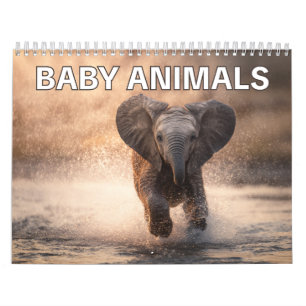 Calendário Presente Perfeito para Amantes de Animais Parede
