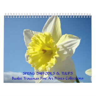 CALENDÁRIO PRIMAVERA Calendários Narcisos Tulipas