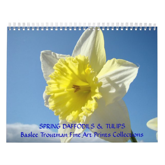 CALENDÁRIO PRIMAVERA Calendários Narcisos Tulipas  (Capa)