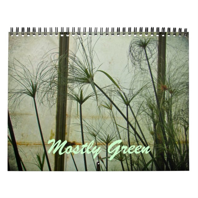 Calendário - Principalmente Verde (Capa)