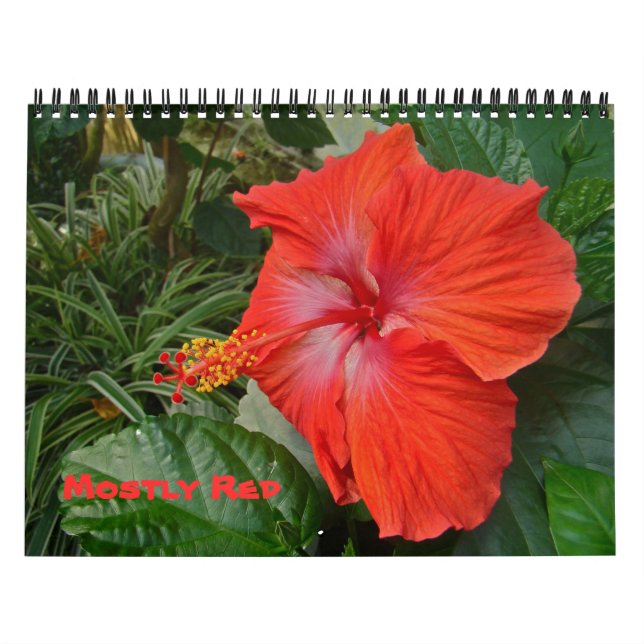Calendário - Principalmente Vermelho (Capa)