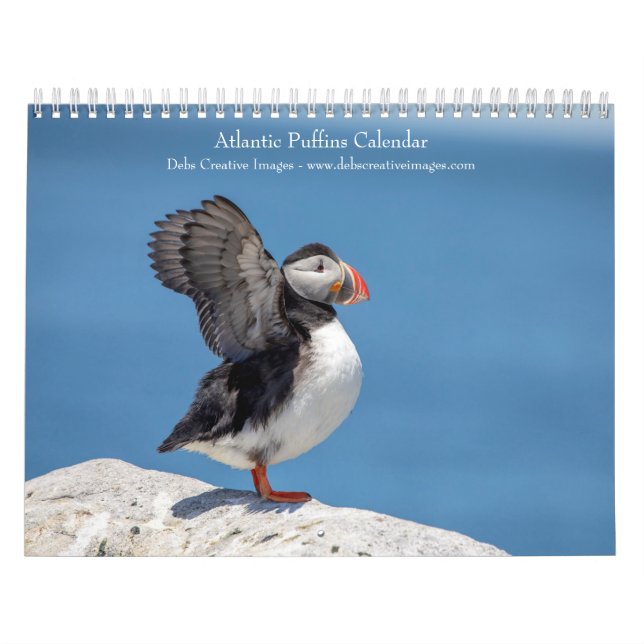 Calendário Puffins do Atlântico 2026 (Capa)
