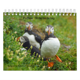 Calendário Puffins - little birds big