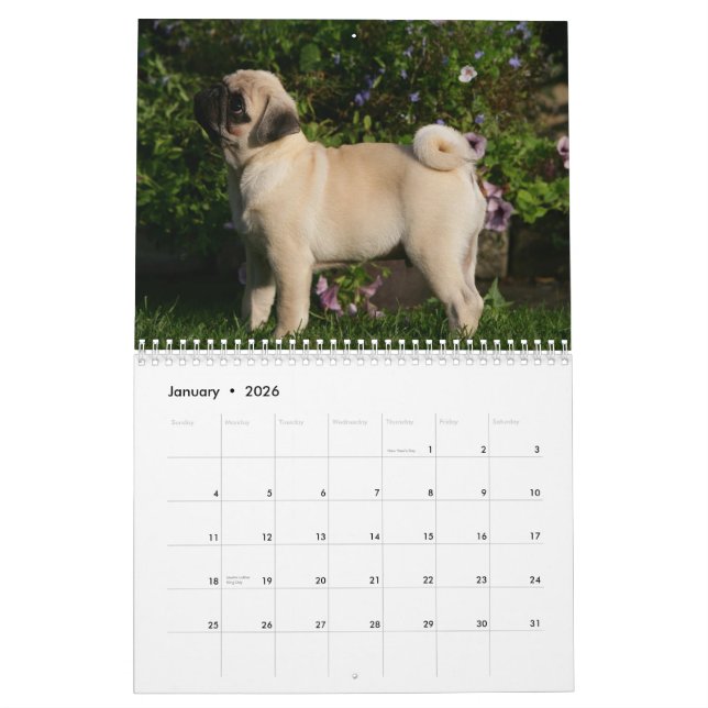 Calendário Pug (Jan 2026)