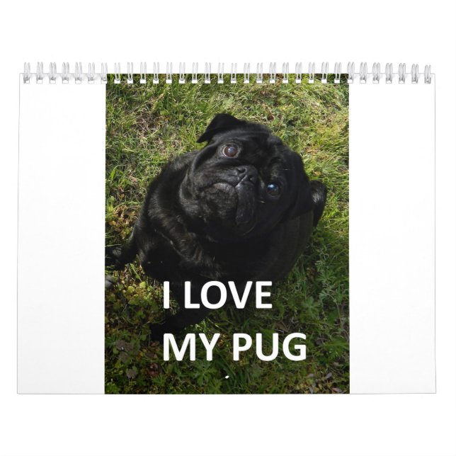 Calendário Pug (Capa)