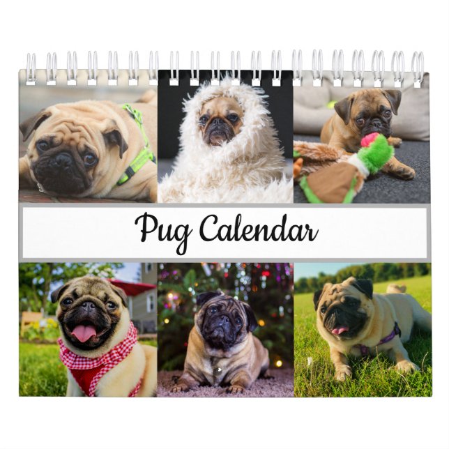 Calendário Pug (Capa)