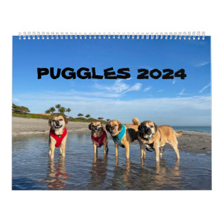 CALENDÁRIO PUGGLES 2024