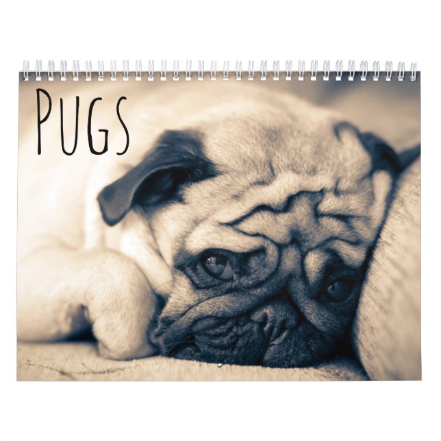 Calendário Pugs (Capa)
