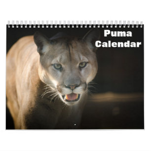 Calendário Puma 2026