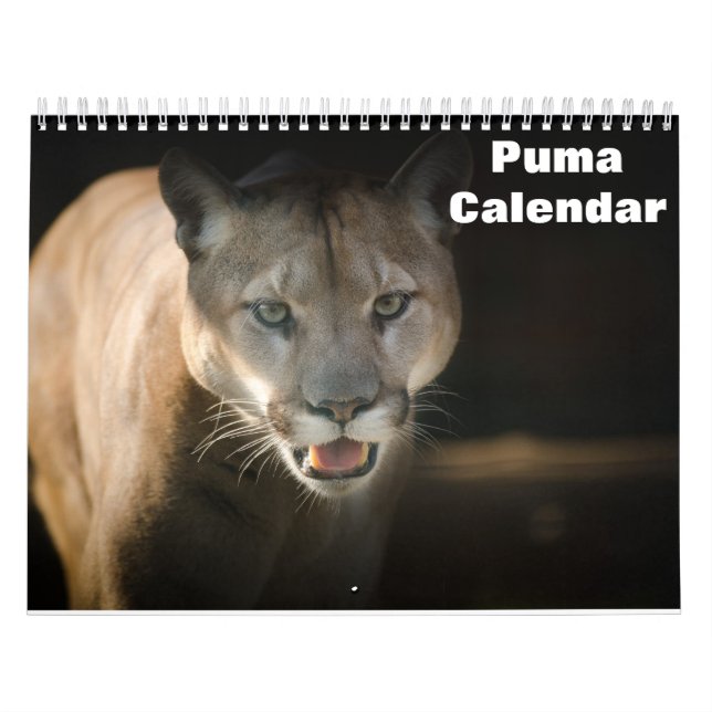 Calendário Puma 2026 (Capa)