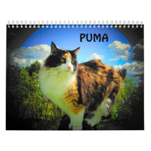 Calendário Puma, minha chita, meu supermodelo