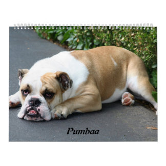 Calendário Pumbaa