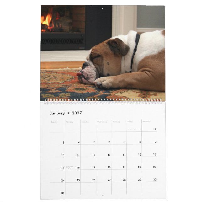 Calendário Pumbaa (Jan 2027)