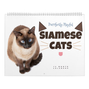 Calendário Puramente Leitura: Gatos Siameses