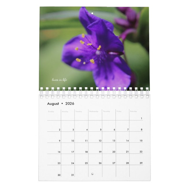 Calendário Purple Garden Flowers (Ago 2026)