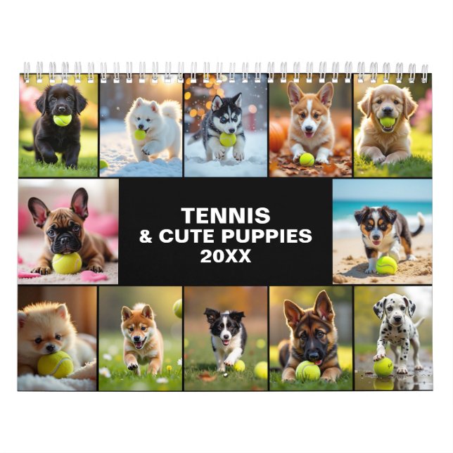 Calendário Qualquer ano 🎾 12 Meses de Alegria de Tênis com R (Capa)