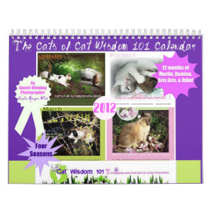 Calendário Quatro estações da sabedoria 101 do gato