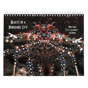 Calendário Quem se importa se é sazonal?