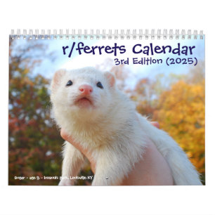 Calendário r/furões Calendar 3ª Edição (2025)
